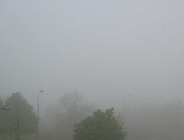 Nebel (Foto: Karl-Heinz Herrmann) Nebel (Foto: Karl-Heinz Herrmann)