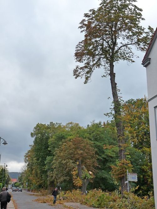 Keine Meldung warum! (Foto: Karl-Heinz Herrmann) Keine Meldung warum! (Foto: Karl-Heinz Herrmann)