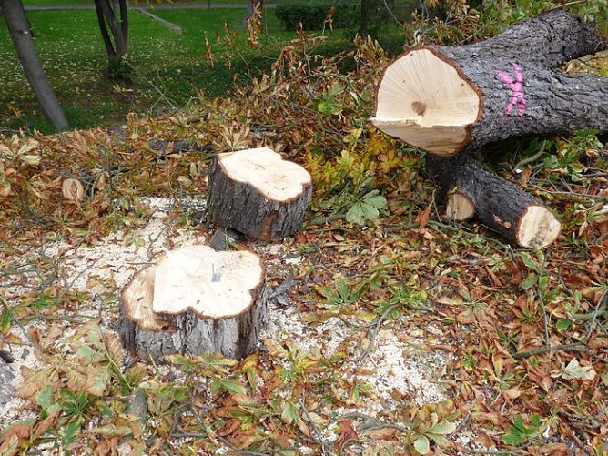 Keine Meldung warum! (Foto: Karl-Heinz Herrmann) Keine Meldung warum! (Foto: Karl-Heinz Herrmann)