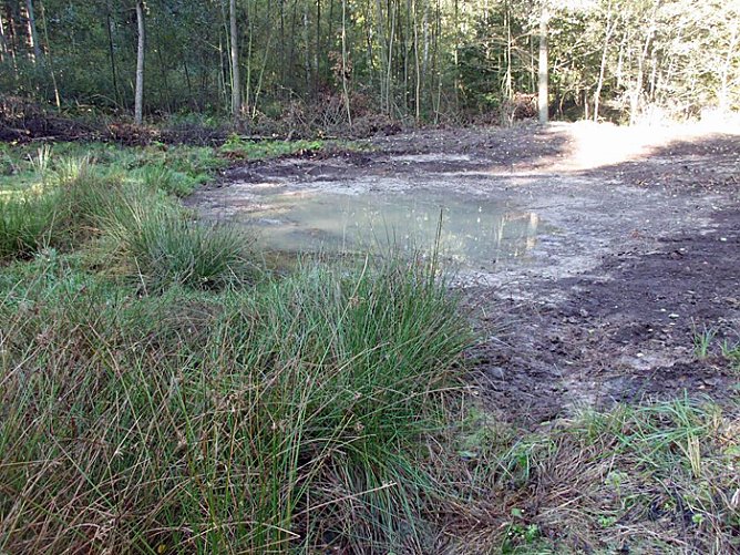 Biotope begutachtet (Foto: Forstamt Oldisleben) Biotope begutachtet (Foto: Forstamt Oldisleben)