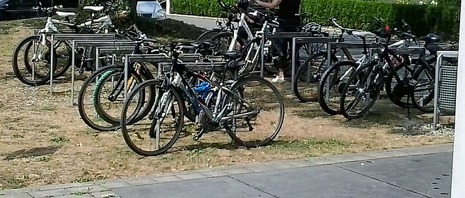 Radfahrer bleiben auf dem Kyffhäuser weiter im Abseits? (Foto: Karl-Heinz Herrmann) Radfahrer bleiben auf dem Kyffhäuser weiter im Abseits? (Foto: Karl-Heinz Herrmann)