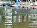 Spa&szlig; beim Anbaden (Foto: Karl-Heinz Herrmann)