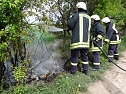 Baumpflege mit Feuer? (Foto: Karl-Heinz Herrmann)