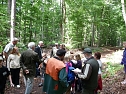Waldjugendspiele begeisterten (Foto: Karl-Heinz Herrmann)