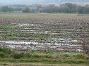 Hochwasser ohne Regen? (Foto: Karl-Heinz Herrmann) Hochwasser ohne Regen? (Foto: Karl-Heinz Herrmann)