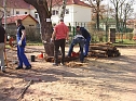 Erfolgreicher Arbeitseinsatz (Foto: privat)