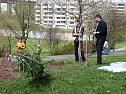 Baum des Jahres gepflanzt (Foto: Karl-Heinz Herrmann) Baum des Jahres gepflanzt (Foto: Karl-Heinz Herrmann)