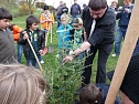 Baum des Jahres gepflanzt (Foto: Karl-Heinz Herrmann) Baum des Jahres gepflanzt (Foto: Karl-Heinz Herrmann)
