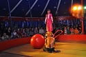 Quirliger Variet&eacute;abend zum Zirkusfestival (Foto: nnz-City Scout Sven G&auml;mkow)