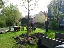 Baum gepflanzt und mehr (Foto: Karl-Heinz Herrmann) Baum gepflanzt und mehr (Foto: Karl-Heinz Herrmann)