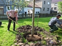 Baum gepflanzt und mehr (Foto: Karl-Heinz Herrmann) Baum gepflanzt und mehr (Foto: Karl-Heinz Herrmann)