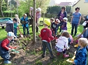 Baum gepflanzt und mehr (Foto: Karl-Heinz Herrmann) Baum gepflanzt und mehr (Foto: Karl-Heinz Herrmann)