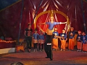 Tolles Zirkusprogramm (Foto: Karl-Heinz Herrmann)