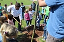 Zum Fest einen Baum gepflanzt (Foto: Karl-Heinz Herrmann) Zum Fest einen Baum gepflanzt (Foto: Karl-Heinz Herrmann)