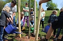 Zum Fest einen Baum gepflanzt (Foto: Karl-Heinz Herrmann) Zum Fest einen Baum gepflanzt (Foto: Karl-Heinz Herrmann)