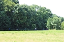 Waldjugendspiele am Rathsfeld (Foto: Karl-Heinz Herrmann)
