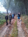 Herbstwanderung des Sondersh&auml;user Hundevereins (Foto: Privat)