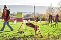 Agility Fun-Turnier in der Hundeschule ABC (Foto: Stadt Bad Frankenhausen)