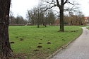 Maulwurfsinvasion im Schlosspark Sondershausen? (Foto: Karl-Heinz Herrmann)