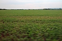 Landwirte auf Flurfahrt (Foto: Karl-Heinz Herrmann)