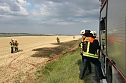 Stoppelfeldbrand rasch unter Kontrolle (Foto: FFW Wasserthaleben)