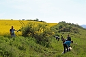 Studien zur Erhaltung der Natur (Foto: Karl-Heinz Herrmann)