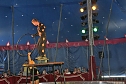 Ruhetag hei&szlig;t nicht Ruhe im Zirkus (Foto: Karl-Heinz Herrmann)