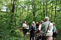 "Südländische Bäume im Possenwald" (Foto: Karl-Heinz Herrmann) "Südländische Bäume im Possenwald" (Foto: Karl-Heinz Herrmann)