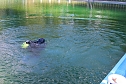 Taucher im Schwimmbad im Einsatz (Foto: Karl-Heinz Herrmann)