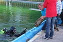 Taucher im Schwimmbad im Einsatz (Foto: Karl-Heinz Herrmann)