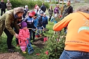 Wettergl&uuml;ck beim Baumfest (Foto: Karl-Heinz Herrmann)