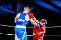 Nordhäuser Boxer holen wieder den Meistertitel (Foto: Johann Reinhardt) Nordhäuser Boxer holen wieder den Meistertitel (Foto: Johann Reinhardt)