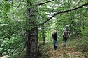 Waldbegehung am Possen im unterschiedlicher Resonanz (Foto: Karl-Heinz Herrmann)