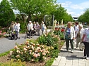 WB 4 besuchte Europa-Rosarium Sangerhausen (Foto: Thomas Leipold) WB 4 besuchte Europa-Rosarium Sangerhausen (Foto: Thomas Leipold)