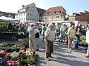 Planzenmarkt in Sondershausen (Foto: Karl-Heinz Herrmann)