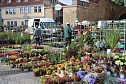 Pflanzenmarkt in Sondershausen (Foto: Karl-Heinz Herrmann)