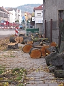 Baumf&auml;llung in Bad Frankenhausen (Foto: Andreas Zeidler)