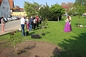 Gro&szlig;e Fliederbaumplanzaktion in Bad Frankenhausen (Foto: Karl-Heinz Herrmann)