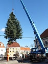 Weihnachtsbaum Sondershausen (Foto: Karl-Heinz Herrmann)
