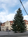 Weihnachtsbaum Sondershausen (Foto: Karl-Heinz Herrmann)