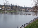 Ufersanierung Schlosspark SDH (Foto: Karl-Heinz Herrmann)