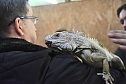 Reptilien Ausstellung (Foto: City Scout Sven G&auml;mkow)