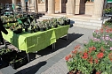 Ansturm auf Sondersh&auml;user Blumen-, Pflanzen- und Staudenmarkt (Foto: Karl-Heinz Herrmann)