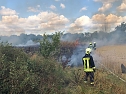 Fl&auml;chenbrand (Foto: Silvio Dietzel)