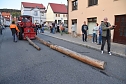 Bauernheer eroberte wieder Bad Frankenhausen (Foto: Tobias Nordhausen)