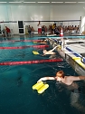 Kreisjugendspiele im Schwimmen durchgeführt (Foto: Lothar Girschele) Kreisjugendspiele im Schwimmen durchgeführt (Foto: Lothar Girschele)