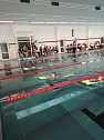 Kreisjugendspiele im Schwimmen durchgeführt (Foto: Lothar Girschele) Kreisjugendspiele im Schwimmen durchgeführt (Foto: Lothar Girschele)