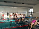 Kreisjugendspiele im Schwimmen durchgeführt (Foto: Lothar Girschele) Kreisjugendspiele im Schwimmen durchgeführt (Foto: Lothar Girschele)