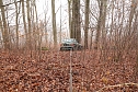 auto im Wald (Foto: S.Dietzel)