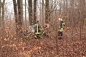 auto im Wald (Foto: S.Dietzel)